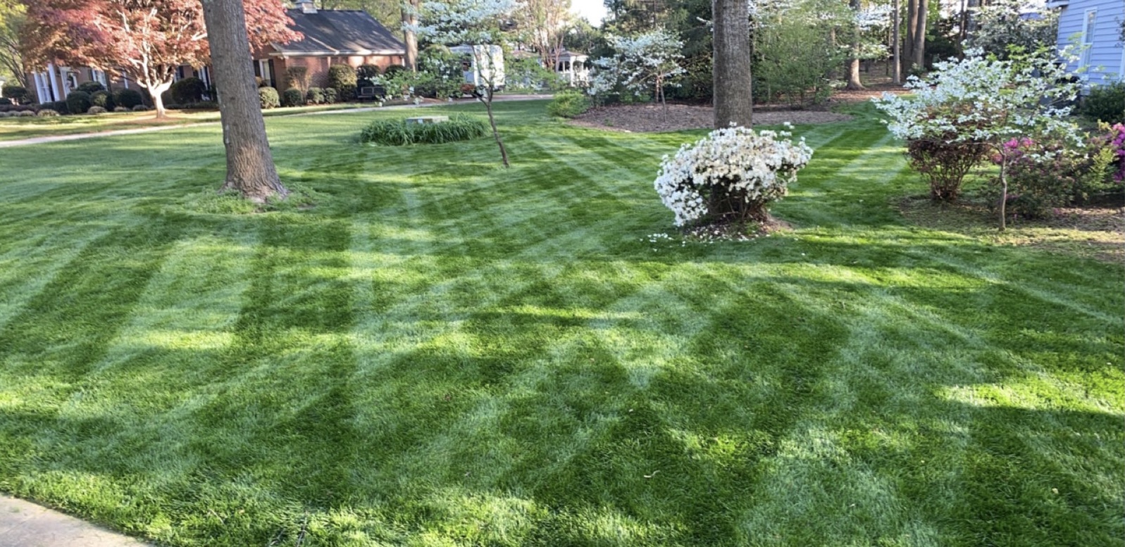 Lawn Care | Southern Lawn Care | Greenville, SC