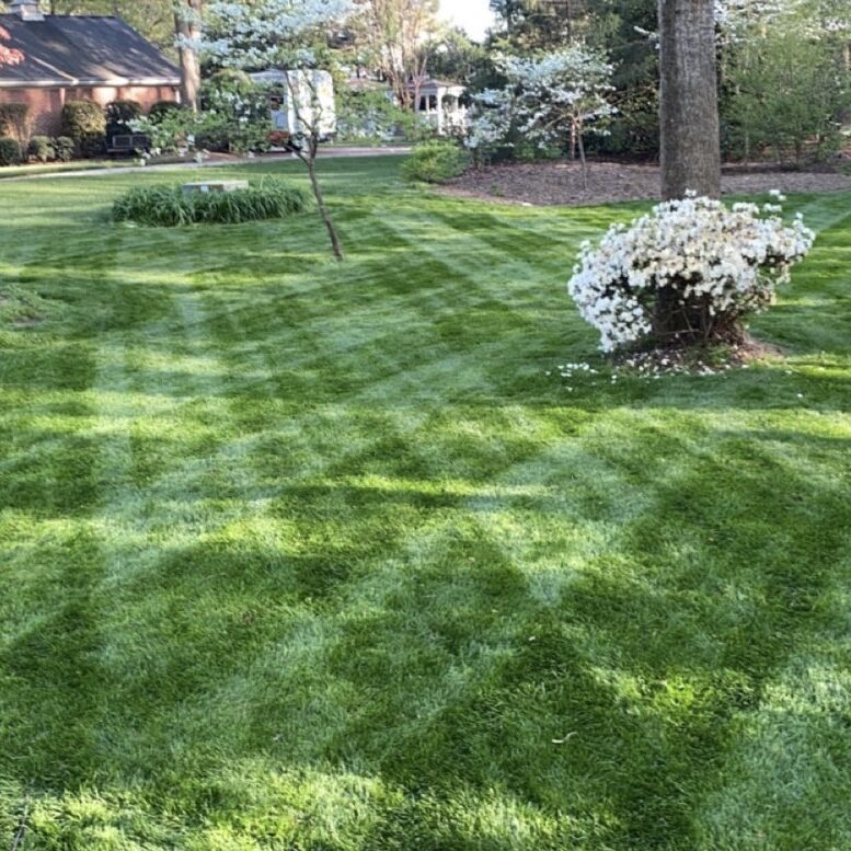 Lawn, bushes, and trees