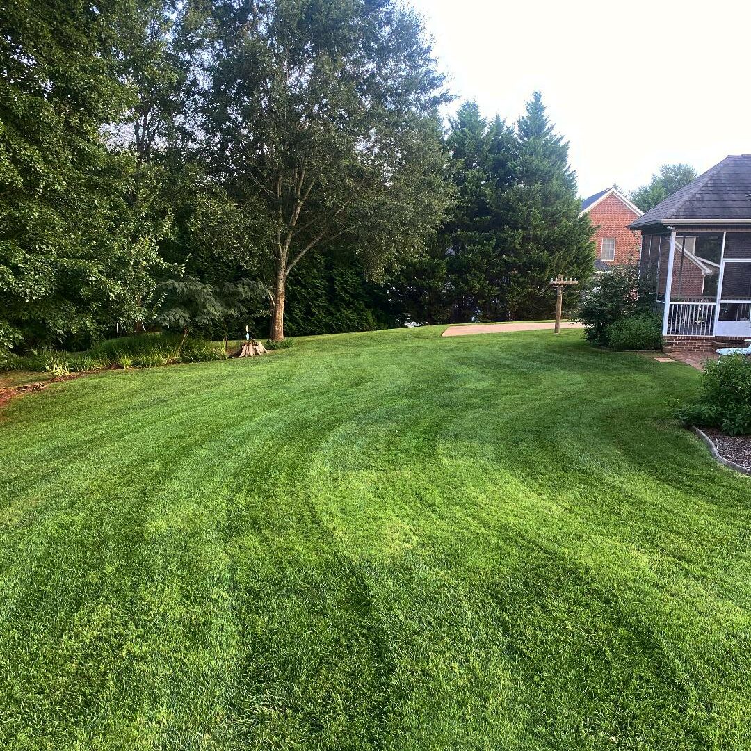 Beautiful grass lawn in Upstate SC