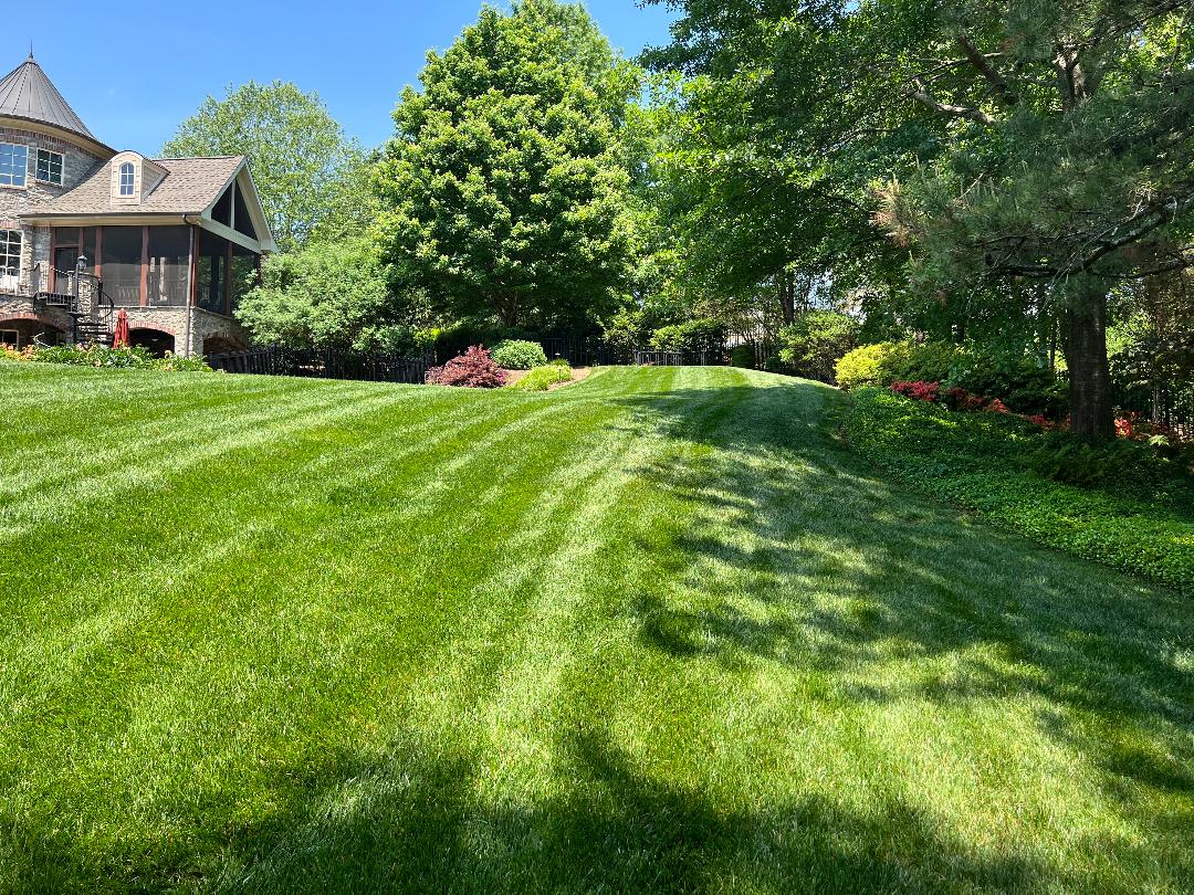 Beautiful home and landscaping